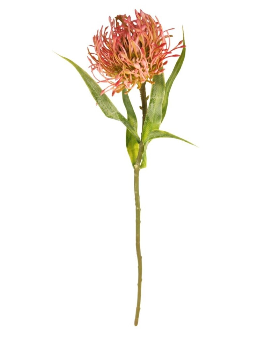 Artificial Blush Pink Pincushion Protea Stem 20 Inch Faux Leucospermum Flower
